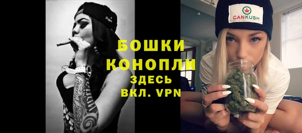 бошки Коряжма