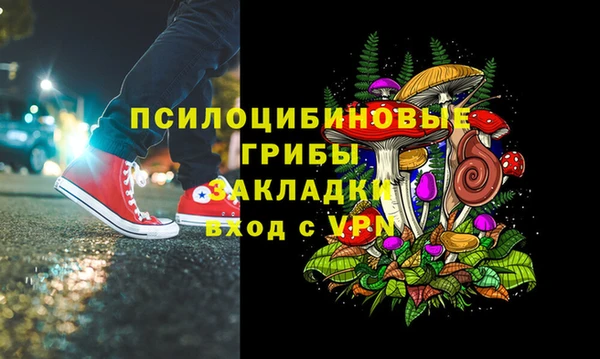 сатива Костерёво