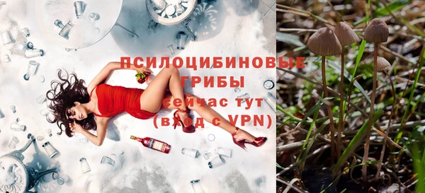 МДПВ Корсаков