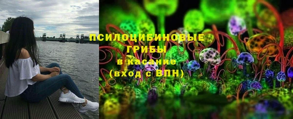 МДПВ Корсаков