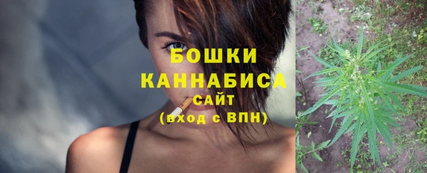 сатива Костерёво