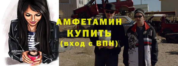 сатива Костерёво
