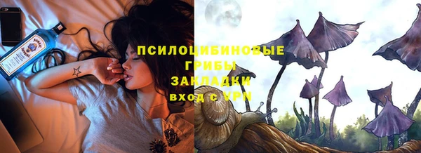 бошки Коряжма