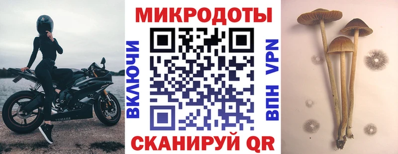 KRAKEN вход  Сольвычегодск  Галлюциногенные грибы мухоморы 