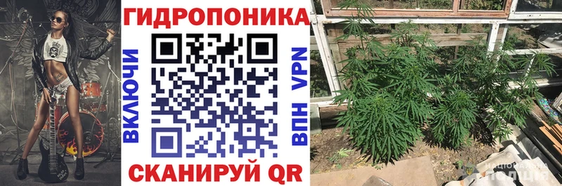 Каннабис OG Kush  darknet клад  Сольвычегодск  магазин продажи  